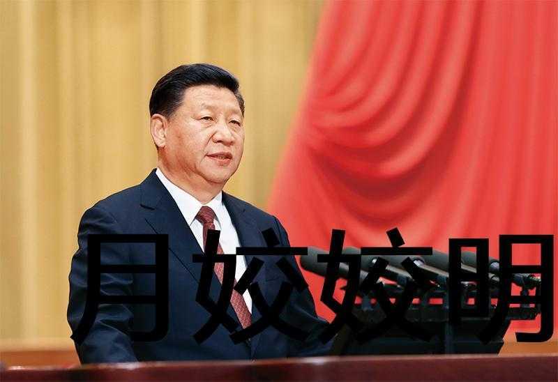 娶个世子当王妃免费阅读无弹窗